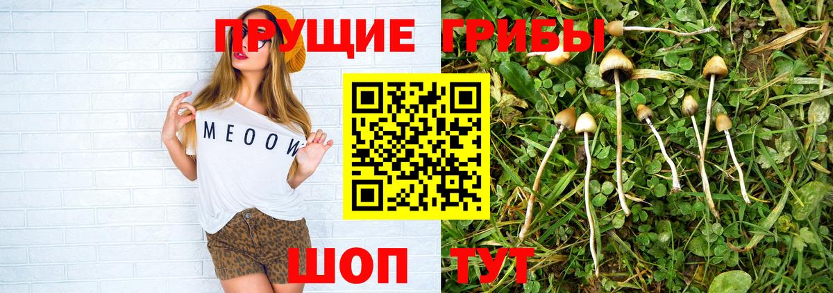 Галлюциногенные грибы Psilocybe  Вход с VPN  Лосино-Петровский 
