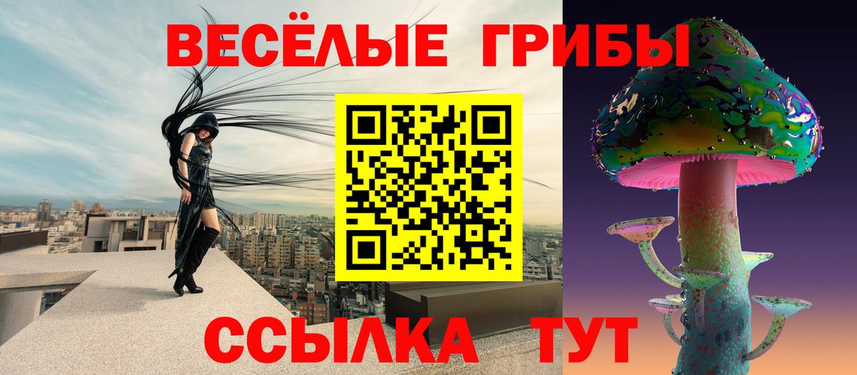 Галлюциногенные грибы Psilocybe Лосино-Петровский